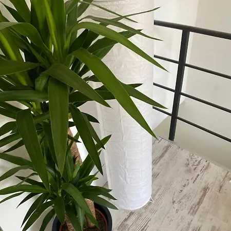 Hisa Megiclinic - & Healing Center Apartament *