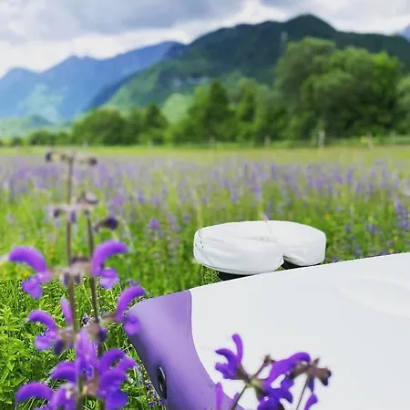 Hisa Megiclinic - & Healing Center *