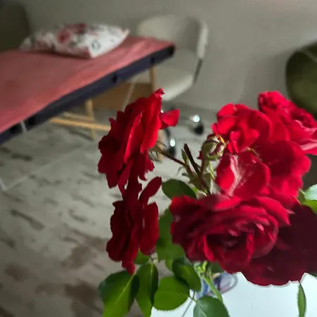 Hisa Megiclinic - & Healing Center Apartament